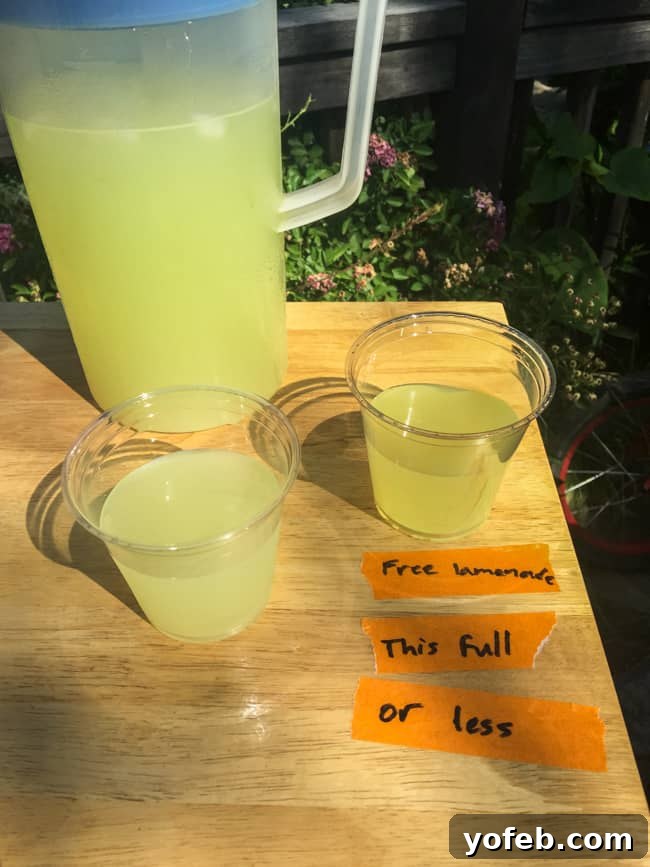 Irresistible Dulce de Leche Cheesecake Parfaits 4 Casual scene with kids enjoying lemonade, representing summer gatherings