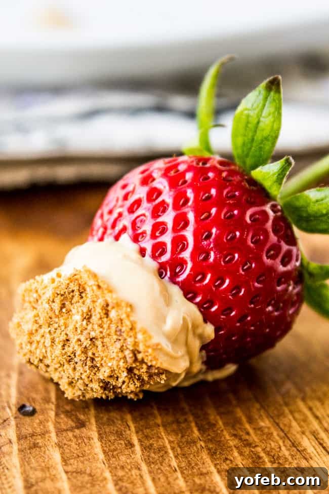 Irresistible Dulce de Leche Cheesecake Parfaits 5 Ingredients for Dulce de Leche Cheesecake Parfaits laid out
