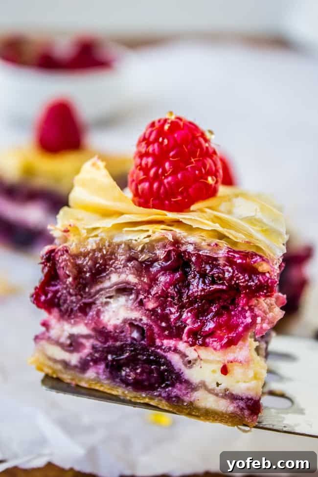 Decadent Berry Cheesecake Baklava 5 Berry Cheesecake Baklava, a delightful blend of two classic desserts