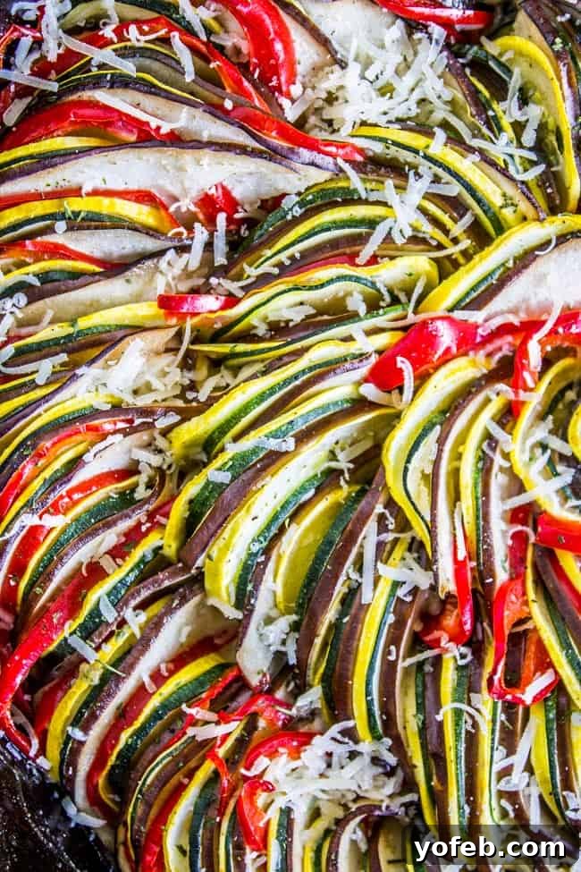 Sun-Kissed Vegetable Bake 3 Extreme close up of sliced vegetables in ratatouille sprinkled with grated parmesan.
