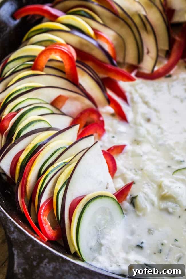Sun-Kissed Vegetable Bake 4 layering sliced vegetables to make ratatouille with sauce.