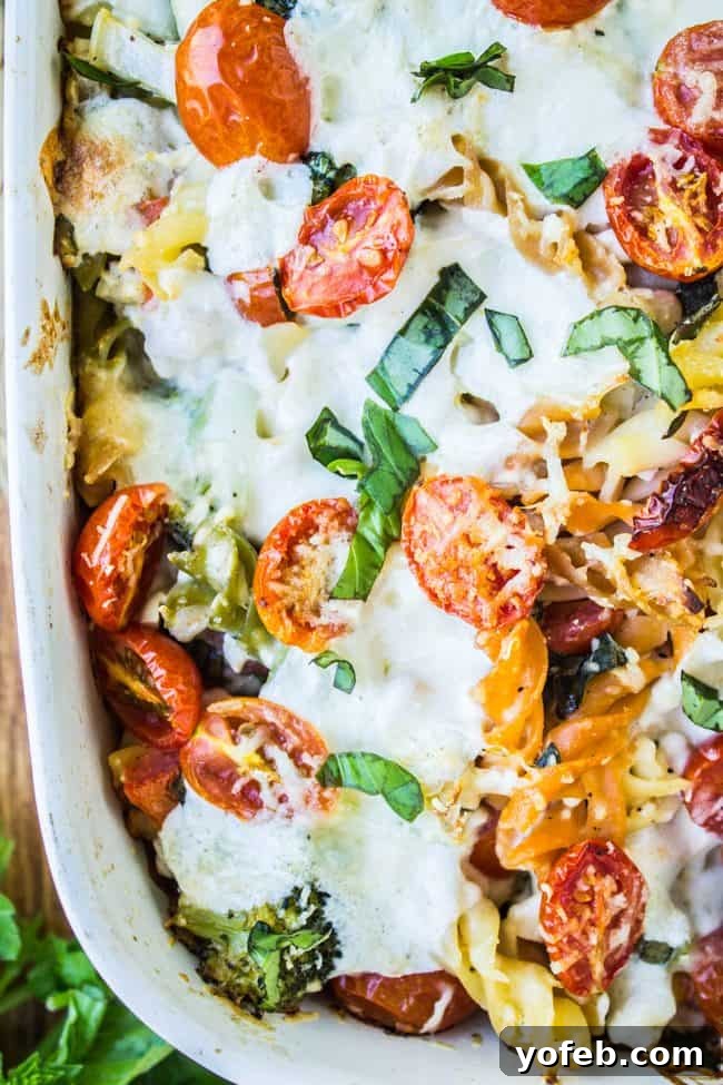 Sun Kissed Tomato Basil Bake 6 summer veggie pasta bake with melted mozzarella cheese.