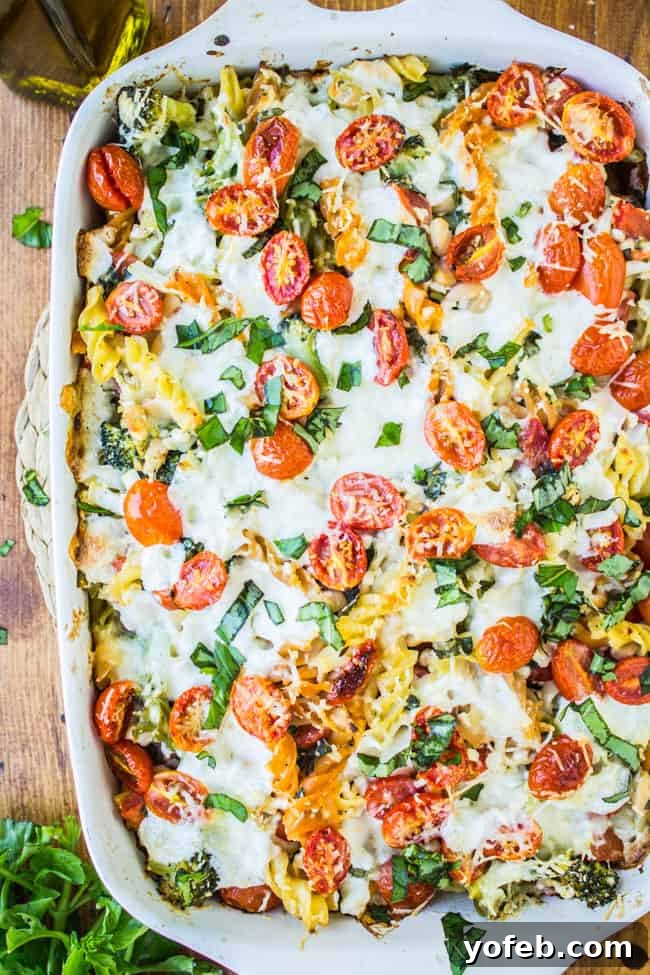 Sun Kissed Tomato Basil Bake 9 Tomato Basil Summer Veggie Casserole