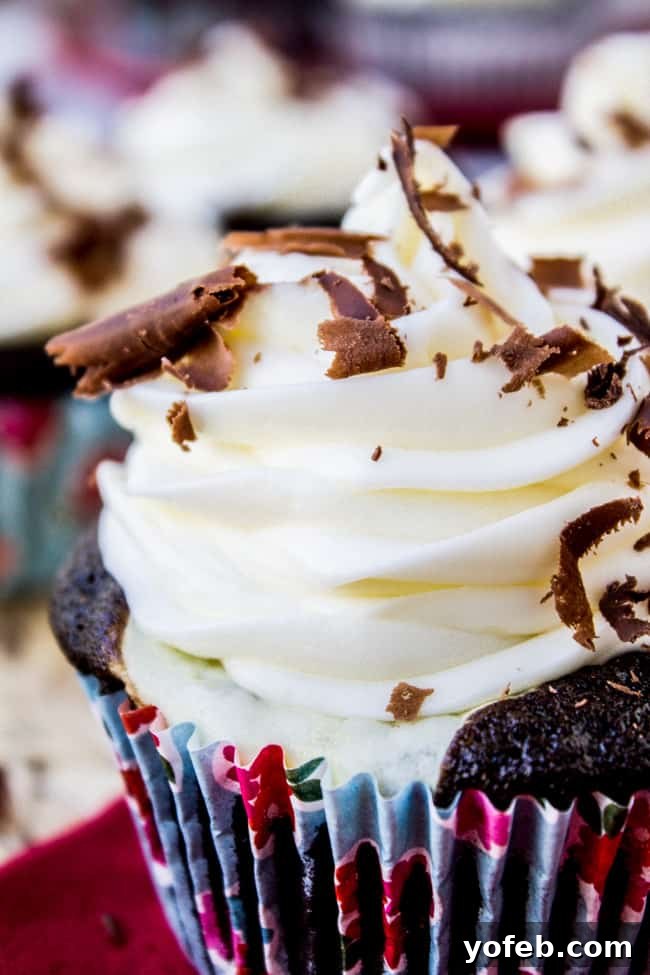 Black Bottom Chocolate Cream Cheese Cupcakes 2 chocolate cupcake with cream cheese filling and cream cheese frosting, chocolate curls.