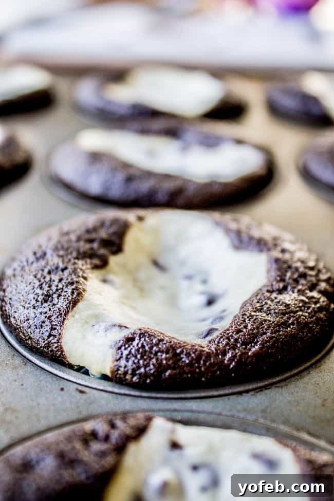 Black Bottom Chocolate Cream Cheese Cupcakes 3 chocolate cupcakes with cream cheese filling baking in a muffin tin.