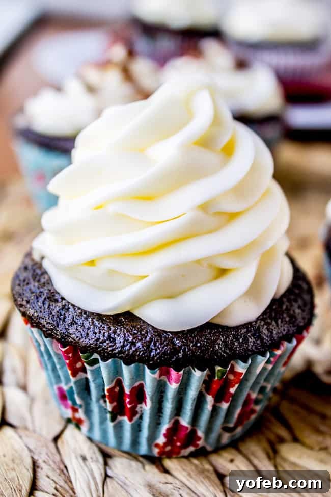 Black Bottom Chocolate Cream Cheese Cupcakes 7 a cream-cheese filled chocolate cupcake with a generous swirl of cream cheese frosting on top.