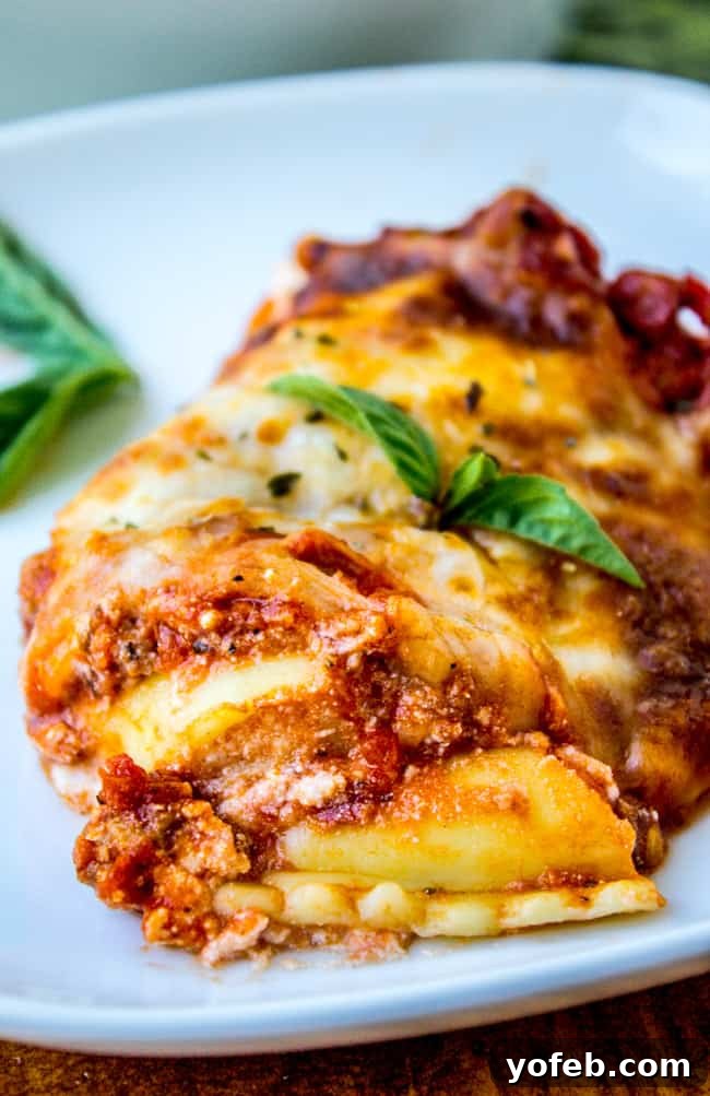 Lazy Lasagna with Ravioli 4 A perfectly baked piece of ravioli lasagna, golden brown and cheesy.