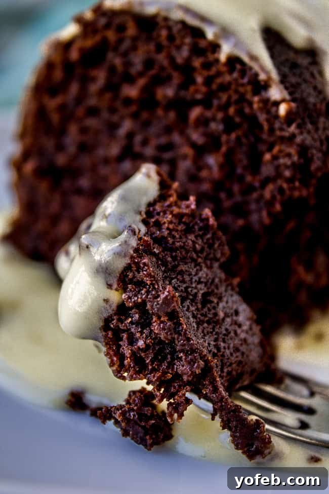 Decadent Chocolate Coconut Dream Cake 8 Perfectly baked chocolate bundt cake with luscious coconut custard