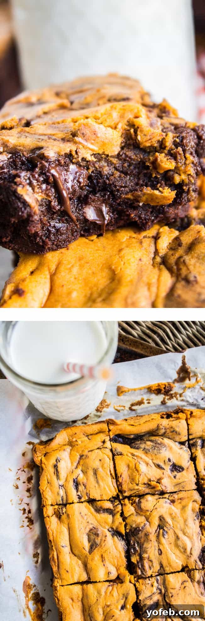Marbled Pumpkin Cheesecake Brownies 2 Rich Pumpkin Cream Cheese Swirl Brownies