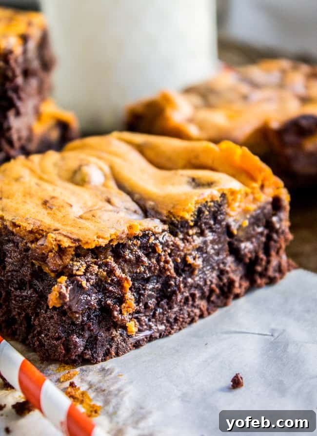 Marbled Pumpkin Cheesecake Brownies 3 Close-up of a Pumpkin Cream Cheese Swirl Brownie with a perfect swirl pattern, from The Food Charlatan
