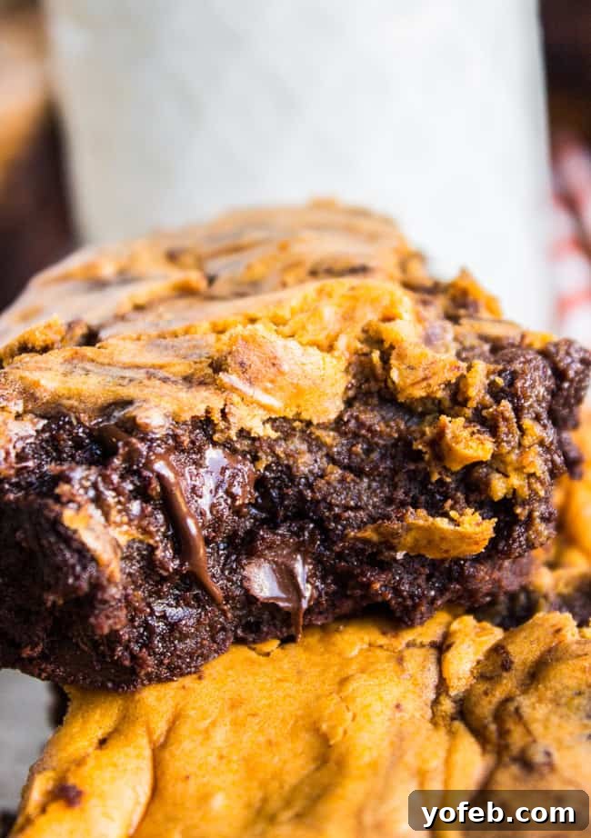 Marbled Pumpkin Cheesecake Brownies 5 A tray of freshly baked Pumpkin Cream Cheese Swirl Brownies, still warm and inviting, from The Food Charlatan
