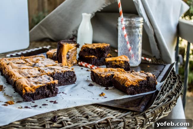 Marbled Pumpkin Cheesecake Brownies 8 A simple food photography setup with brownies, showing natural light from a window, from The Food Charlatan