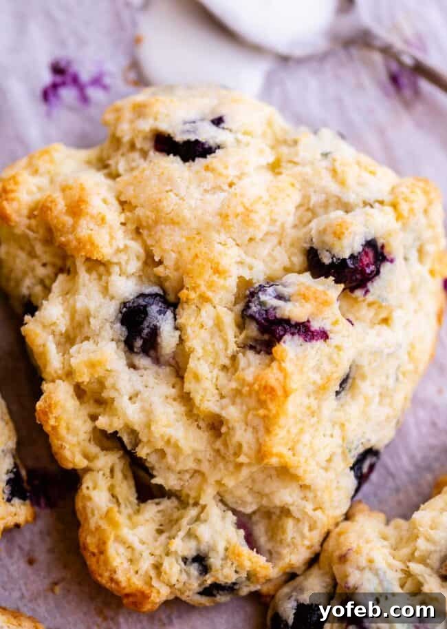A batch of freshly baked blueberry scones, golden brown and glistening, cooling on parchment paper after emerging from the oven.