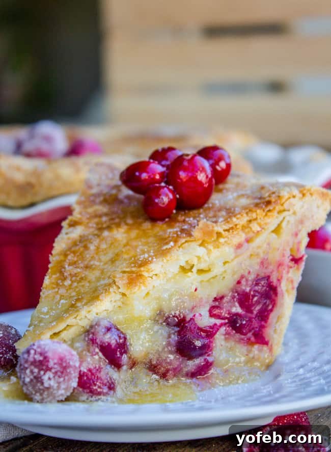 Delicious Cranberry Custard Pie from The Food Charlatan, perfect for holidays