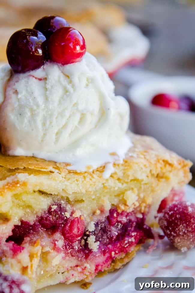 Ingredients for making creamy custard pie with cranberries