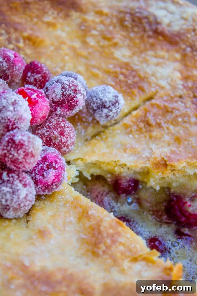 Close-up of baked Cranberry Custard Pie with flaky crust