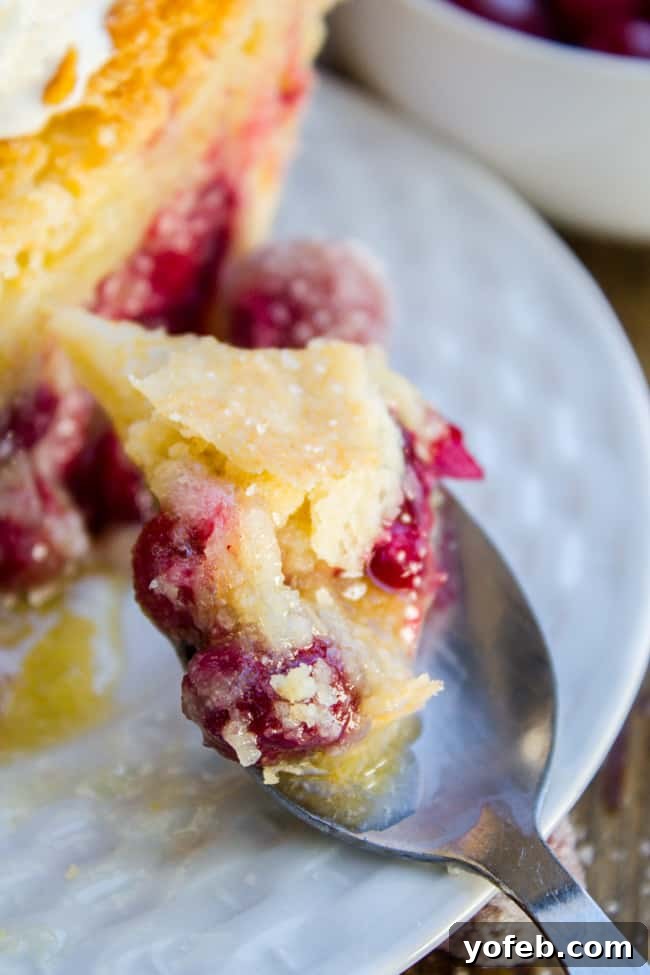 Cranberry custard pie filling before baking