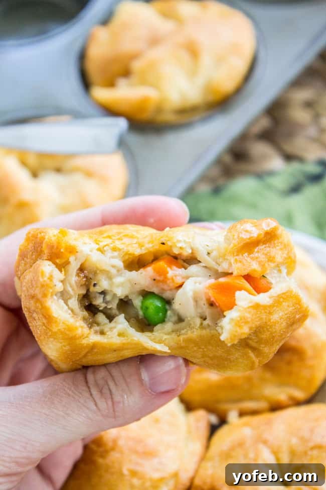 Quick Crescent Chicken Pot Pie Bites 10 Hand holding mini chicken pot pie with bite taken out and filling showing.
