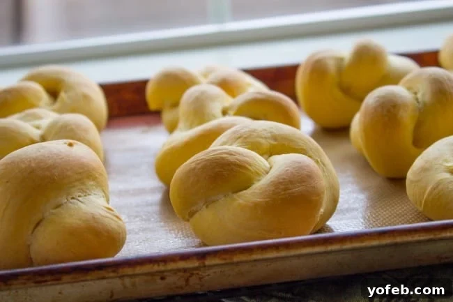 Golden Sweet Potato Dream Rolls 6 Buttery Sweet Potato Rolls from The Food Charlatan