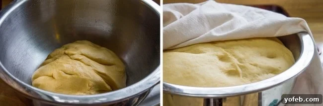 Golden Sweet Potato Dream Rolls 9 Buttery Sweet Potato Rolls from The Food Charlatan