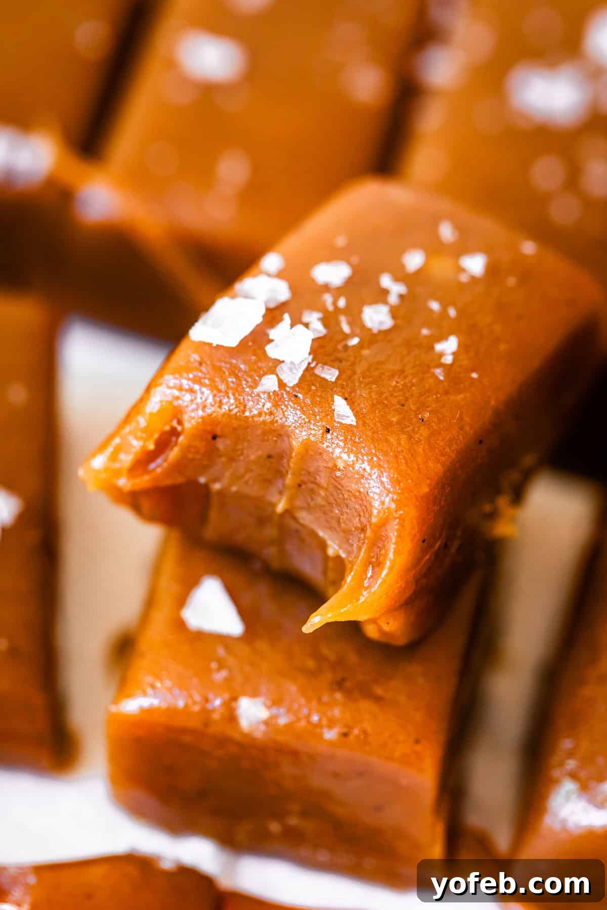 Gourmet Caramel Pecan Nougat Rolls 20 Soft, salted caramel candy rectangles stacked on another rectangle