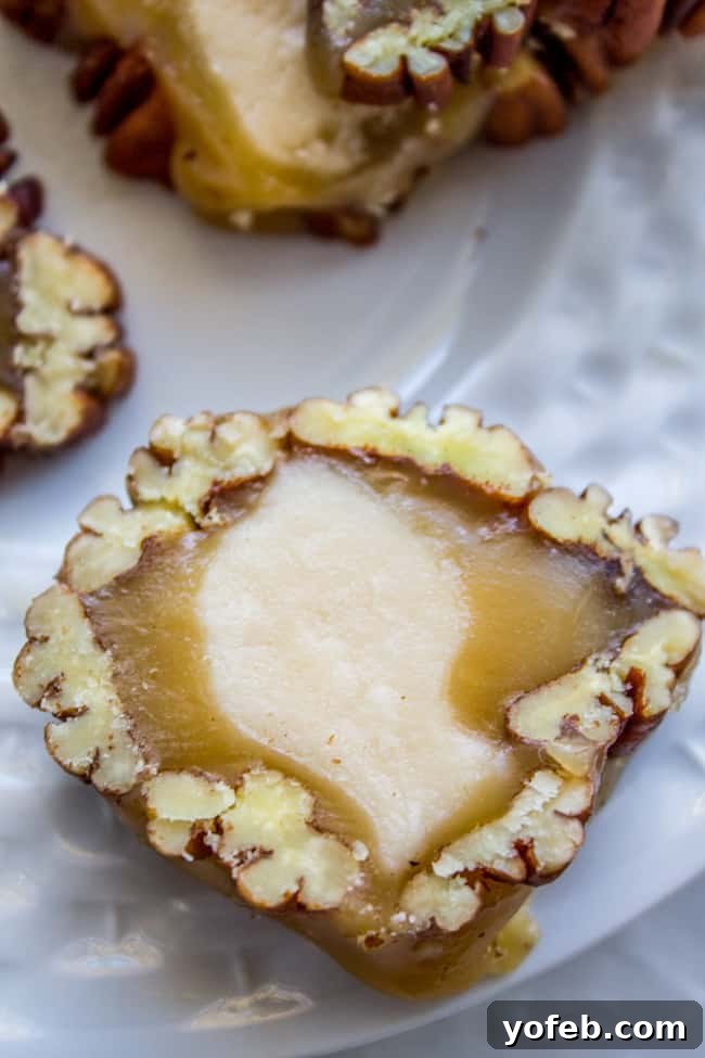 Gourmet Caramel Pecan Nougat Rolls 7 Perfectly formed Caramel Pecan Rolls ready for gifting