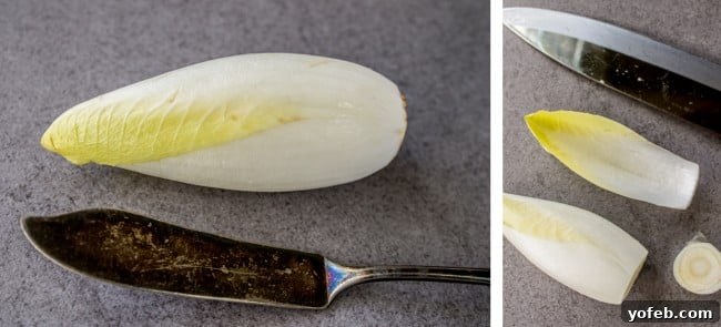 Smoky Almond & Cream Cheese Endive Boats 6 A single, fresh head of Belgian endive, highlighting its compact, pale green and white leaves.