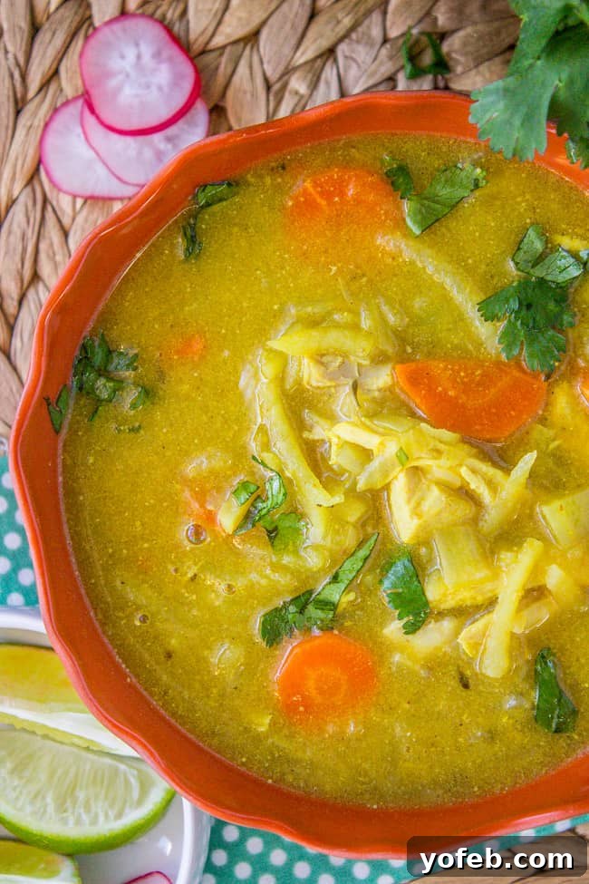 Velvety Mulligatawny Delight 2 Creamy Mulligatawny Soup from The Food Charlatan