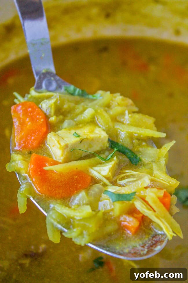 Velvety Mulligatawny Delight 3 Creamy Mulligatawny Soup from The Food Charlatan