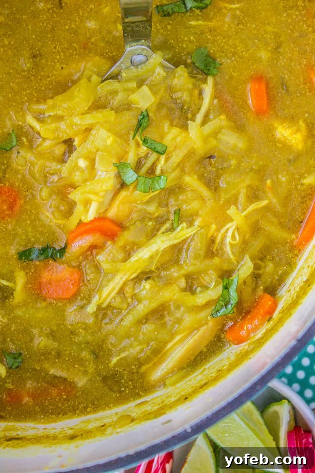 Velvety Mulligatawny Delight 6 Creamy Mulligatawny Soup from The Food Charlatan