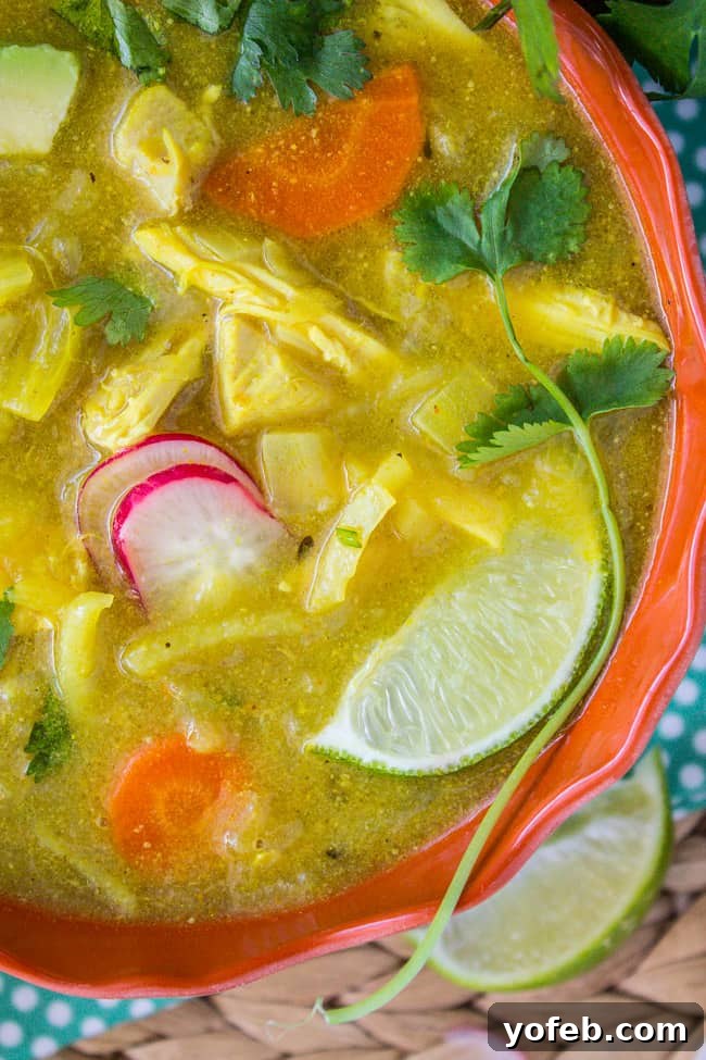 Velvety Mulligatawny Delight 7 Creamy Mulligatawny Soup from The Food Charlatan