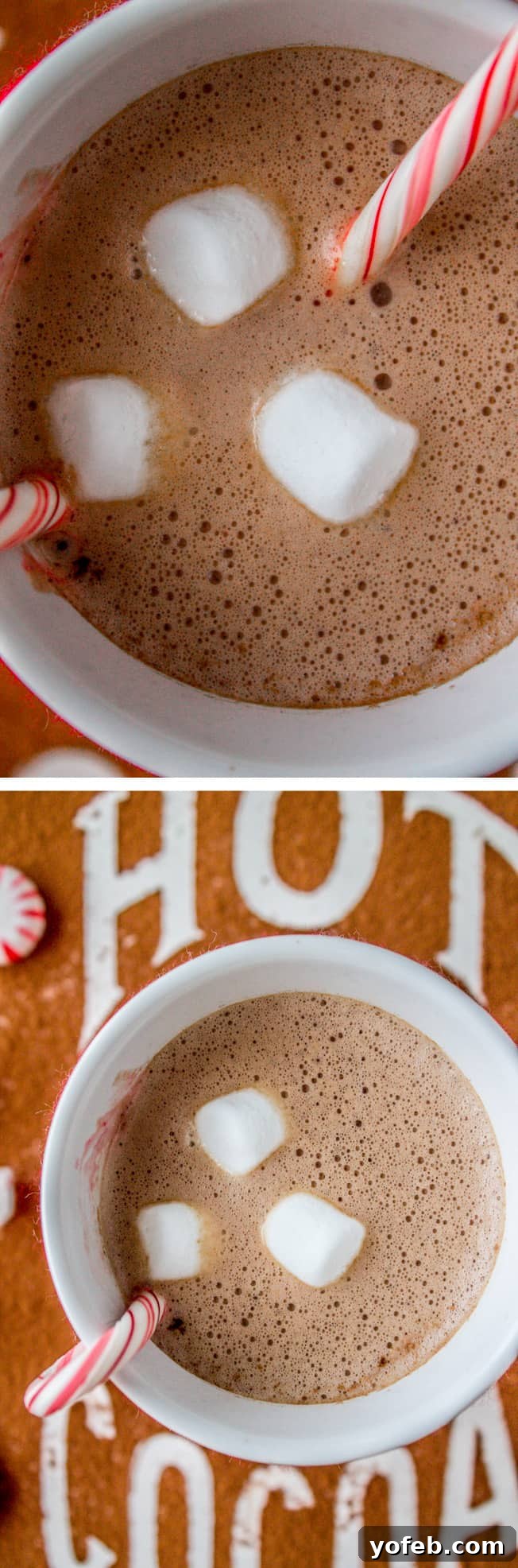 Golden Honey Hot Chocolate Treat for One 2 Sugar-Free Honey Hot Chocolate Pin