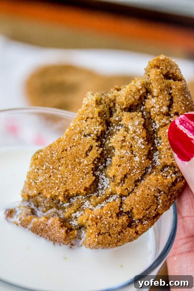 Golden Honey Hot Chocolate Treat for One 14 Gramma Prudy's Classic Gingersnaps by The Food Charlatan, spicy and sweet