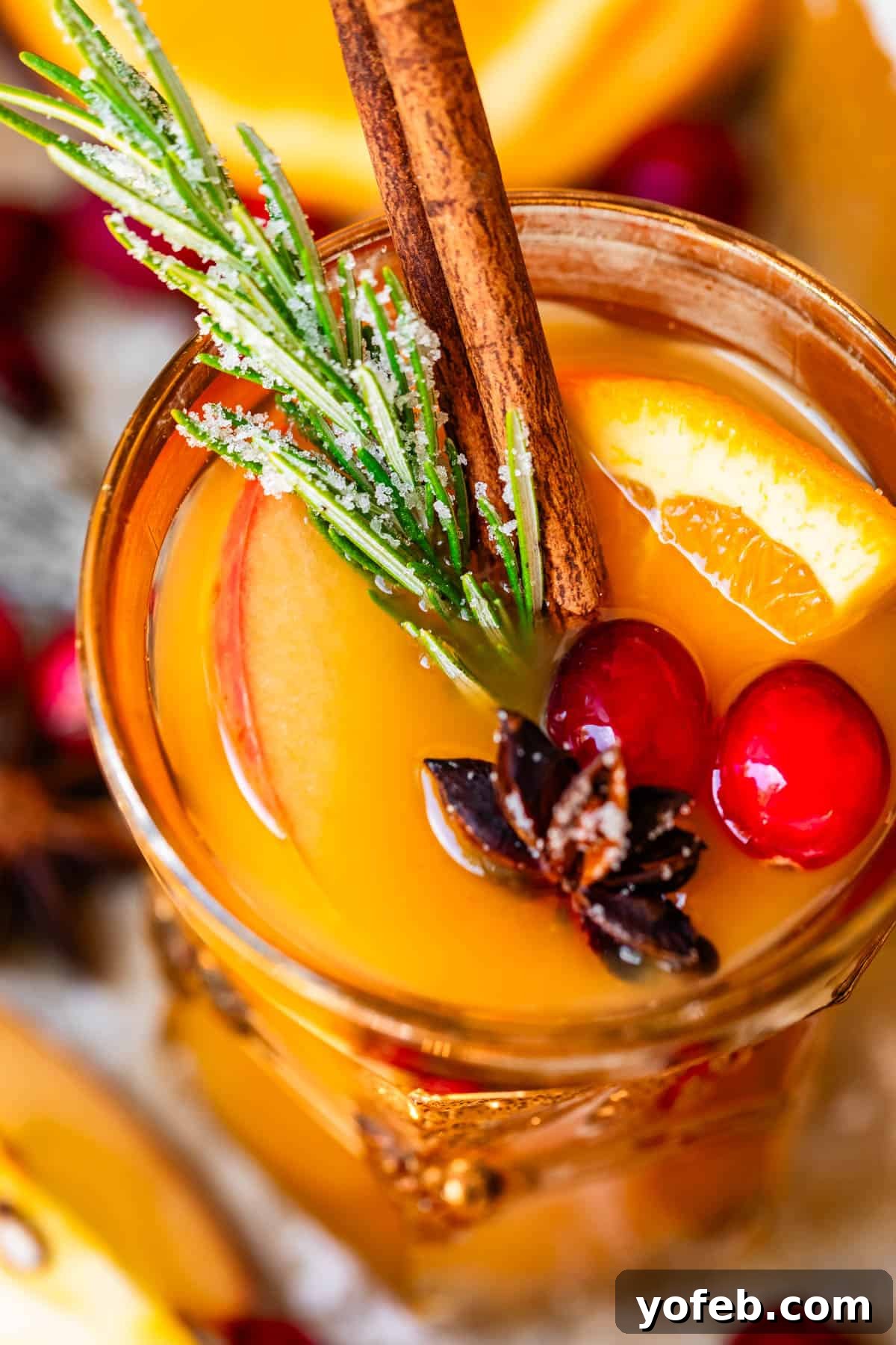 Golden Honey Hot Chocolate Treat for One 15 A glass of warmly spiced Wassail, garnished with orange slices and cranberries, a comforting alternative to hot chocolate