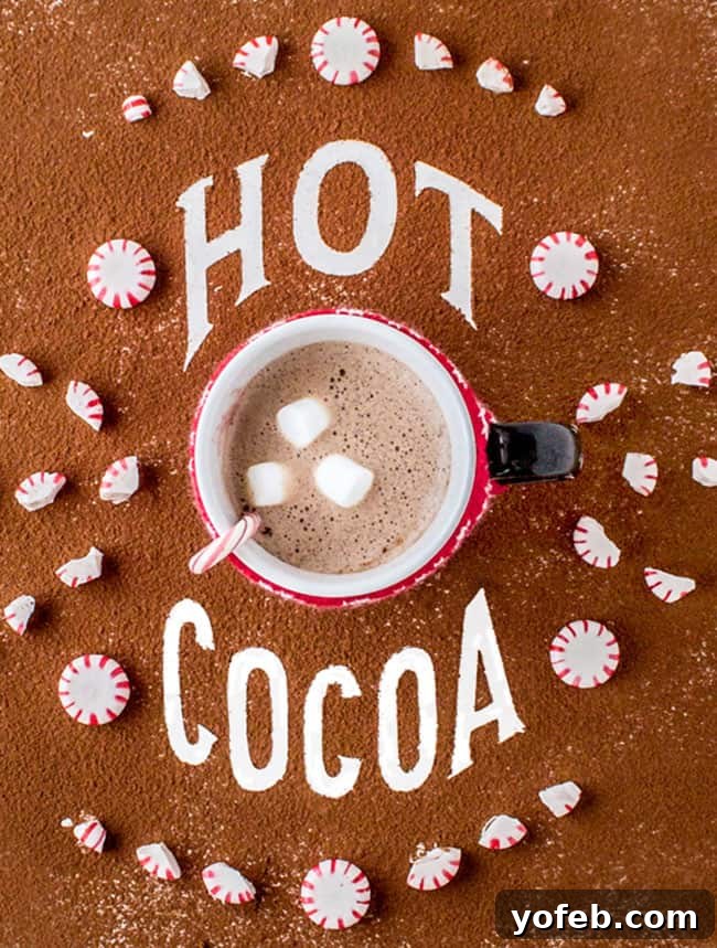 Golden Honey Hot Chocolate Treat for One 3 Best Healthy Hot Chocolate Recipe