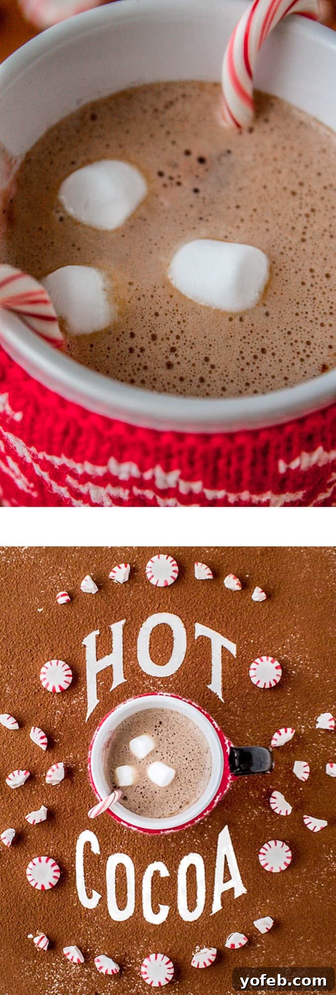 Golden Honey Hot Chocolate Treat for One 4 Easy Frothy Hot Chocolate with Honey