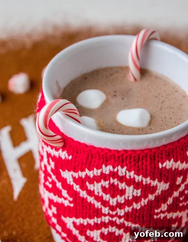 Golden Honey Hot Chocolate Treat for One 7 A close-up of delicious Easy Honey Hot Chocolate for One, garnished with chocolate shavings, from The Food Charlatan
