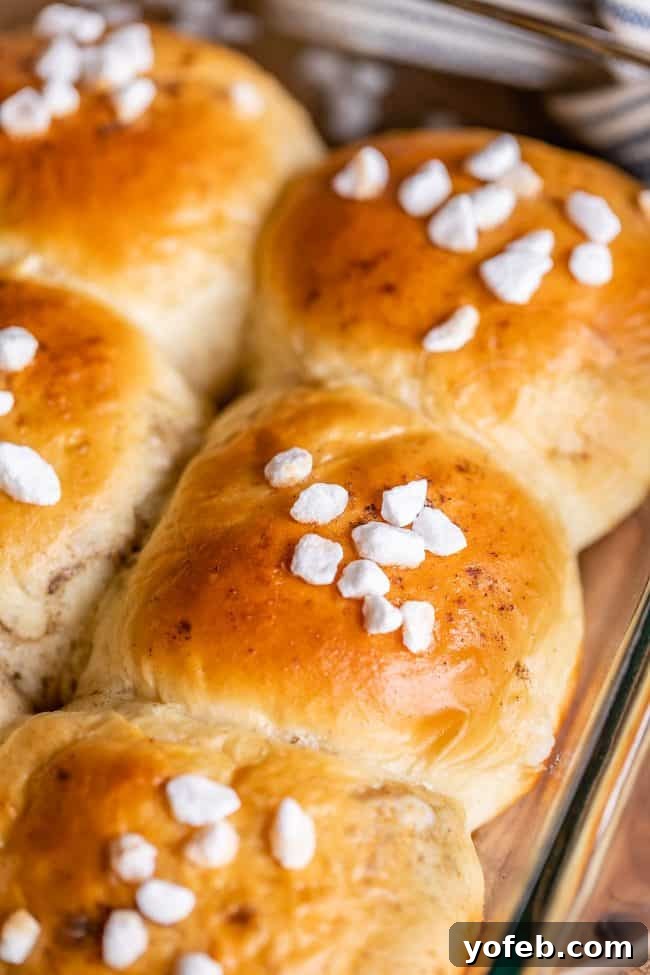 A baking dish filled with several golden-brown cardamom rolls, perfectly risen and ready to be served. The rolls are arranged neatly, showcasing their soft texture and hints of pearl sugar on top.