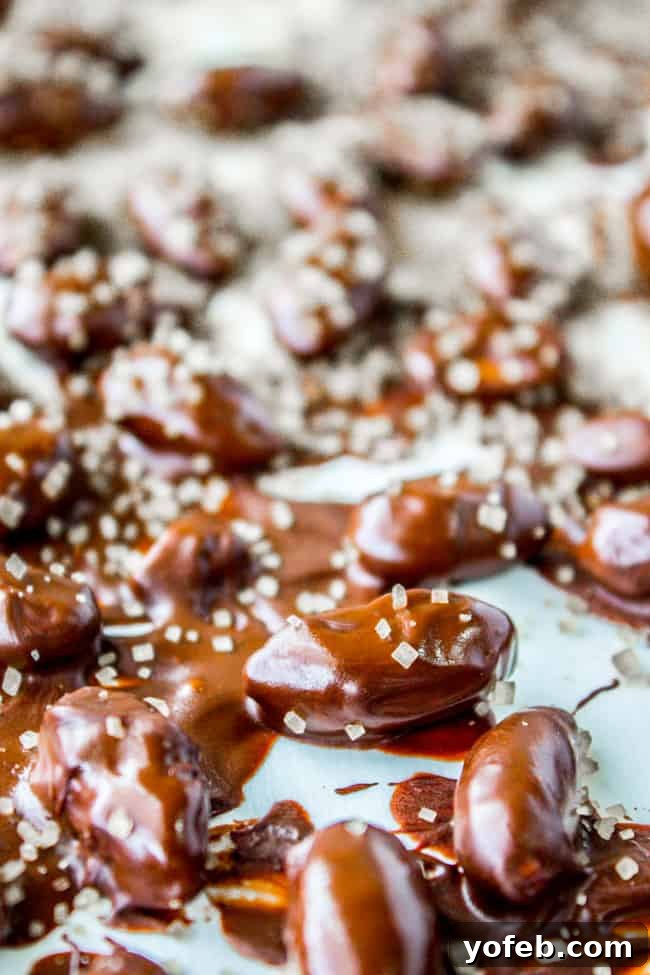 Mint Chocolate Almond Delights 10 A festive bowl of mint chocolate covered almonds, perfect for holiday celebrations