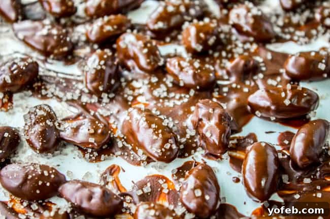 Mint Chocolate Almond Delights 12 Mint Chocolate Covered Almonds from The Food Charlatan