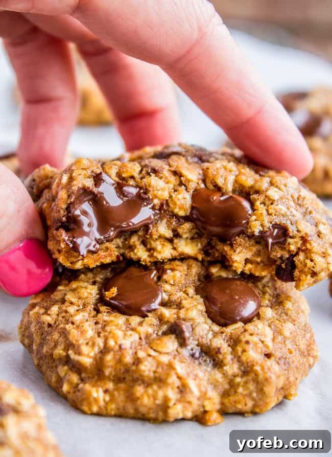 Wholesome Chocolate Chip Delights 2 A perfectly baked healthier oatmeal chocolate chip cookie with a bite taken out, held up by a hand, showcasing its chewy texture and melted chocolate chips.