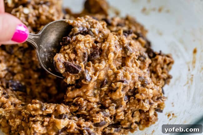 Wholesome Chocolate Chip Delights 16 Raw oatmeal chocolate chip cookie dough in a bowl with a spoon, showing its ready-to-chill consistency.