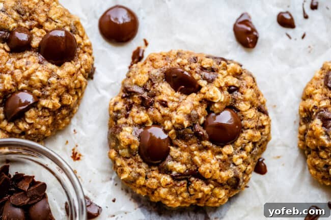 Wholesome Chocolate Chip Delights 19 Healthy oatmeal chocolate chip cookies on parchment paper after baking, with additional chocolate chips pressed into their warm tops.