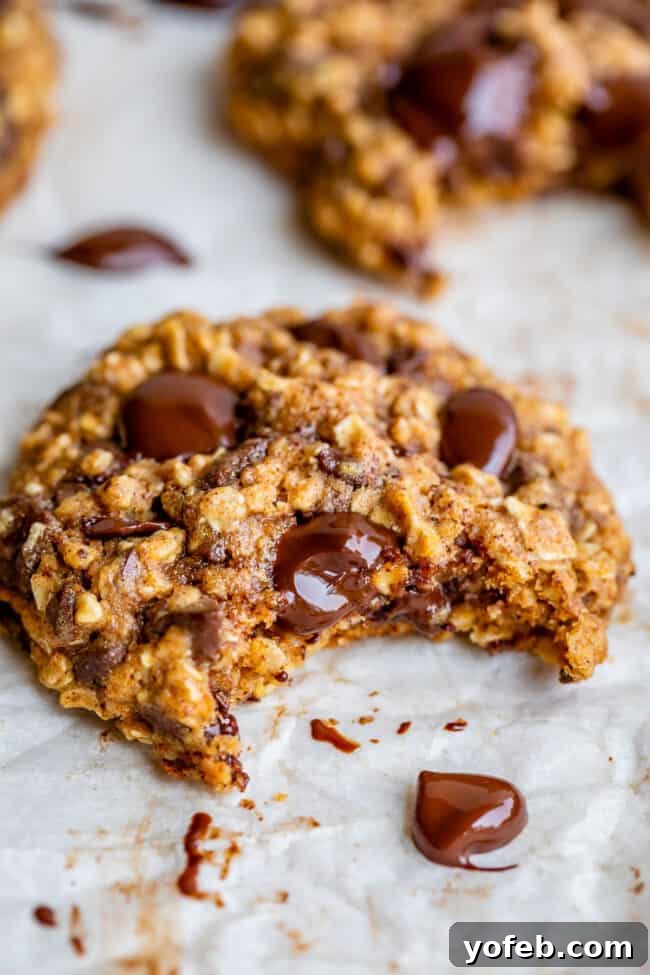 Wholesome Chocolate Chip Delights 21 Oatmeal chocolate chip cookies arranged on a sheet pan, with one cookie featuring a bite already taken out.