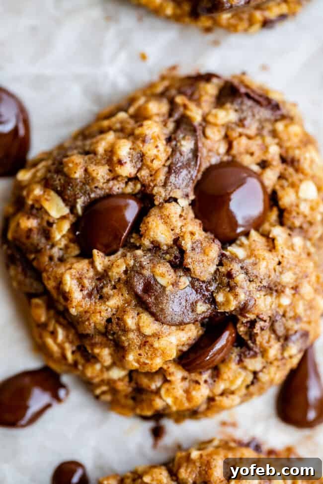 Wholesome Chocolate Chip Delights 4 Close-up overhead shot of healthy oatmeal chocolate chip cookies, showing the texture of the oats and the rich dark chocolate.