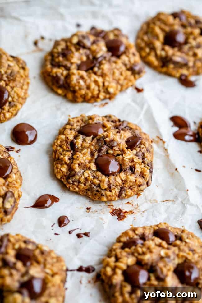 Wholesome Chocolate Chip Delights 6 A baking sheet filled with golden-brown healthier chocolate chip cookies, perfectly shaped and ready to be enjoyed.