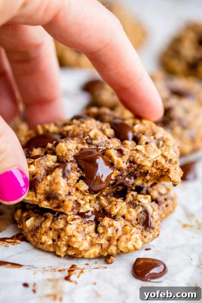 Wholesome Chocolate Chip Delights 7 A hand reaching for a perfectly baked healthier oatmeal chocolate chip cookie, highlighting its appealing texture and rich color.