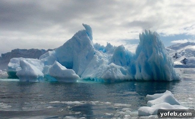 Creamy Vegan Cauliflower Soup 3 melting ice in freezing water near Antarctica.