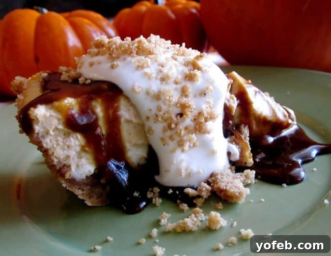 A classic pumpkin cheesecake photo from 2011, highlighting the recipe's long-standing popularity and deliciousness. An old, nostalgic photo of a pumpkin cheesecake from an earlier recipe post, showcasing its enduring appeal.