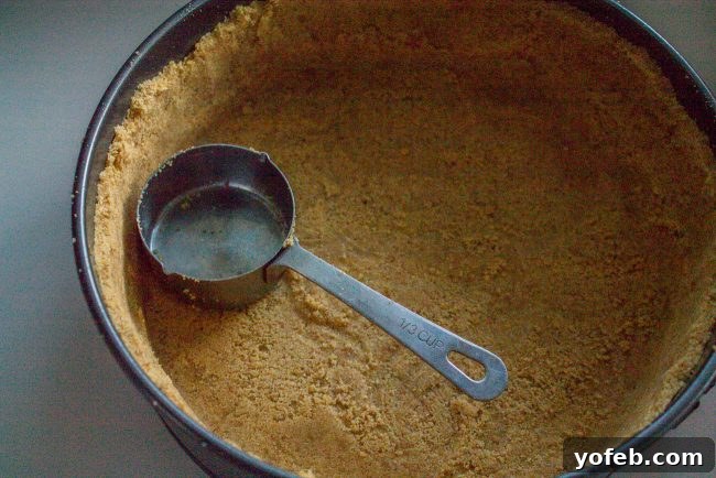 Creating the perfect graham cracker crust by pressing crumbs firmly into a springform pan, essential for a sturdy and delicious pumpkin cheesecake base. A hand using a measuring cup to firmly press graham cracker crumbs into a springform pan for a cheesecake crust.